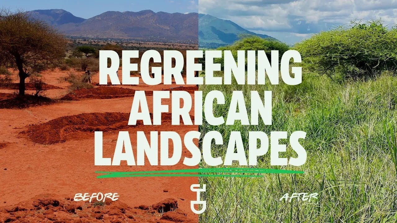 How 'Justdiggit' Regreens Sub-Saharan Farmland