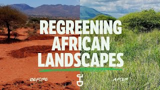 How We Are Restoring Nature Across Africa Justdiggit Story 2025