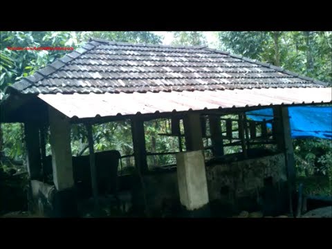 video phone beyonce mp3 A traditional cattle shed of small farmers
