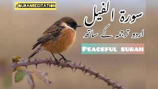 Surah Al-Feel with urdu translation | سورۃ الفیل اردو ترجمہ کے ساتھ | #quranrecitation#increaseviews