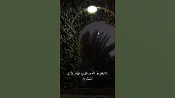 الشيخ أنس بن عيسى العمادي -سورة إبراهيم- هذا التسجيل بتاريخ 13/9/1437🤍#أنس_العمادي#قرآن_كريم#إبراهيم