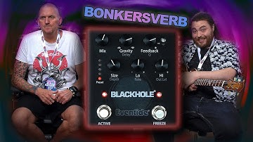 THE ULTIMATE SOUND DESIGN PEDAL -  Eventide Blackhole