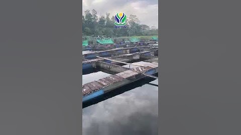 GPTN (Gerakan Peduli Tani Nelayan) Indonesia