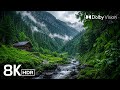 8K Ultra HD HDR Nature Scenery | Dolby Vision OLED Demo |8K Video Ultra HD