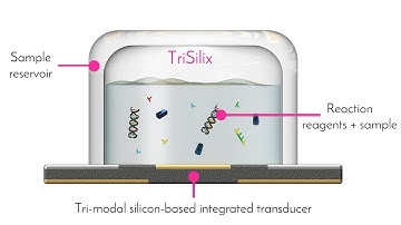 Disposable Silicon-based All-in-One Micro-qPCR for Rapid On-Site Detection of Pathogens