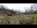2lbs of tannerite vs couch