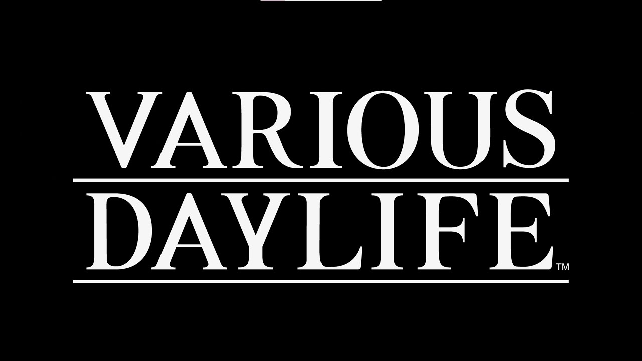 Various Daylife (Switch): Entrevistamos os produtores Tomoya Asano e  Masaaki Hayasaka - Nintendo Blast