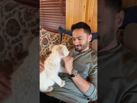 حماده هلال ساعات