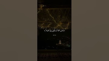 فَصَبْرٌ جَمِيلٌ ۖ عَسَى اللَّهُ أَن يَأْتِيَنِي بِهِمْ جَمِيعًا ۚ |القارئ محمد هشام.