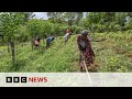 New video by BBC News on YouTube