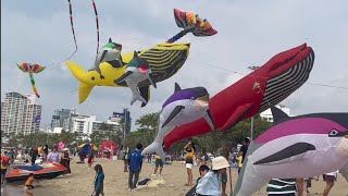 International Kite festival 2024 on the Beach #ikf #2024