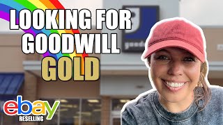 Looking for Goodwill Gold at The End of a DOUBLE Rainbow!!! New reseller Haul - Picker Flipper VLOG