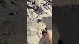 💰 GOLD CHAIN BRACELET Found Metal Detecting! #GoldBracelet #MetalDetecting #TreasureHunt