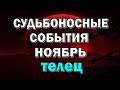 ТЕЛЕЦ ✨ ВАЖНЫЕ СОБЫТИЯ в ДЕНЬГАХ ✨ НОЯБРЬ. Таро прогноз гороскоп гадание