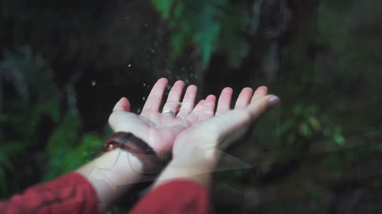 Buckets of Rain  Martian Dog Music EFM