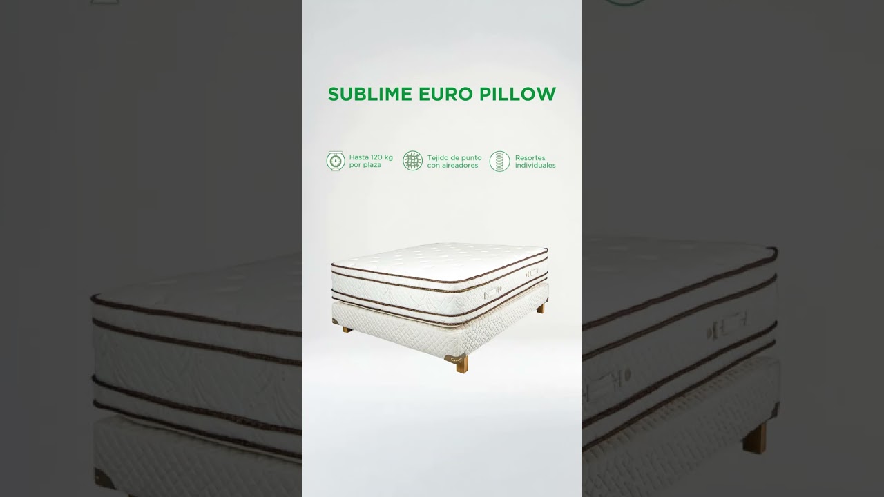 Cannon | Sublime Euro Pillow