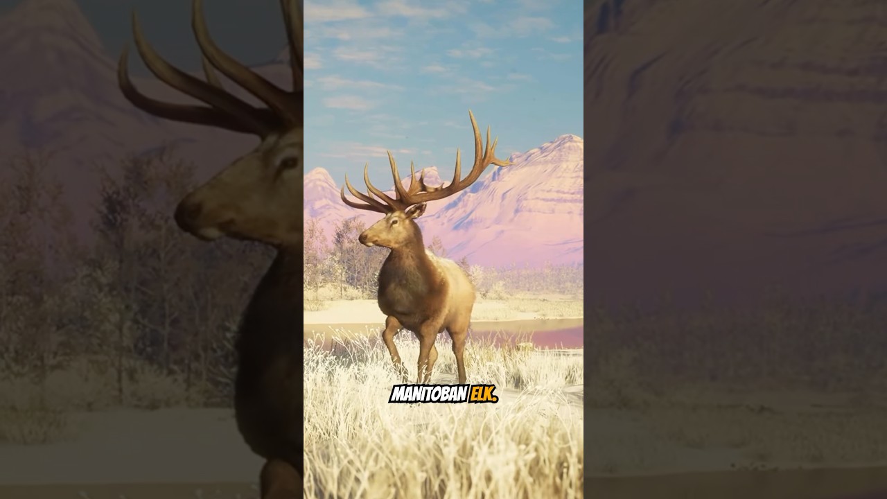 ВСЕ 11 ВИДОВ, ИЗВЕСТНЫЕ НА СЕЙЧАС на Аски-Ридже в Call of the Wild! 