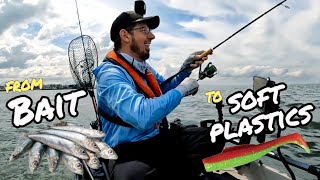 SWITCH from BAIT to SOFT PLASTICS - Getting started GUIDE on Soft Plastics Fishing screenshot 5