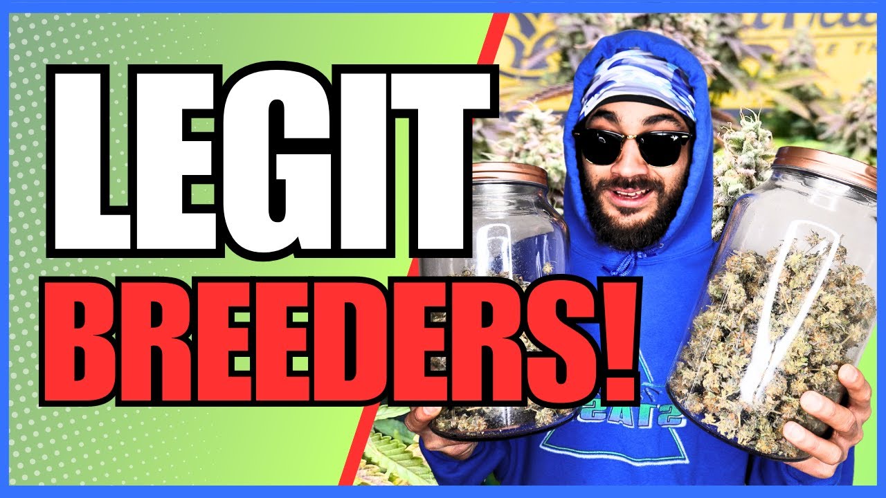 THESE Breeders have the DANKEST Genetics! 🔥