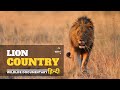 Lion country africa     wildlife documentary in hindi