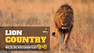 Lion Country, Africa - हिन्दी डॉक्यूमेंट्री | Wildlife documentary in Hindi by Wildlife Telecast  80,033 views 2 months ago 2 hours, 20 minutes
