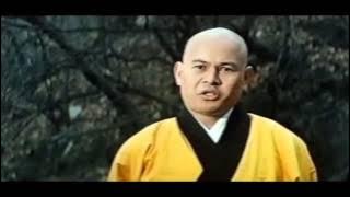 Stranger from Shaolin (fight scenes)