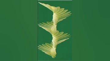 Biomimicry: Nature