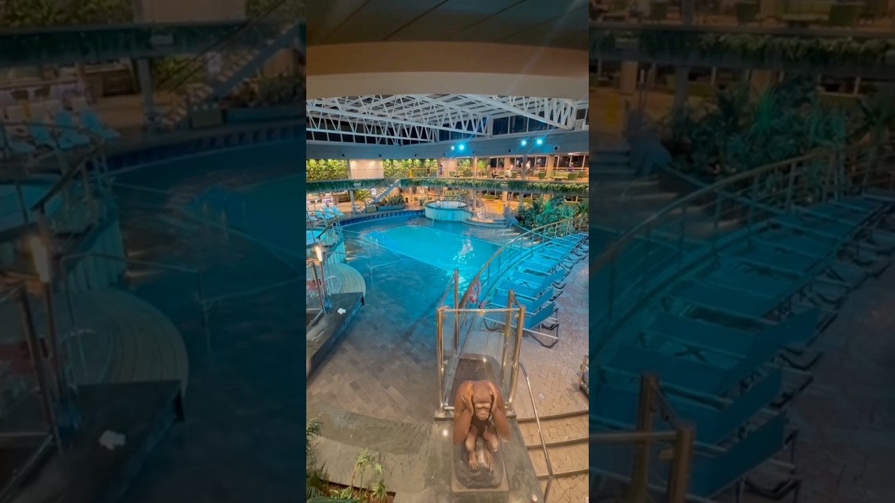 MSC Seashore’s Poolside Fun: Pirates Cove + Jungle Pool!