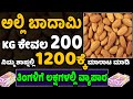 How To Start Almond Business | Latest Business Ideas in Kannada | Startup Ideas | Money Factory