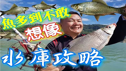 魚多到背不回家!!你可能不知道這個地方原來可以釣魚!!餵老鷹 露營 釣魚 餵山豬根本是實境秀!! - 天天要聞