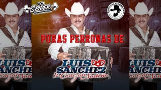 Luis Sanchez Mix Puras Perronas Djspider 2022