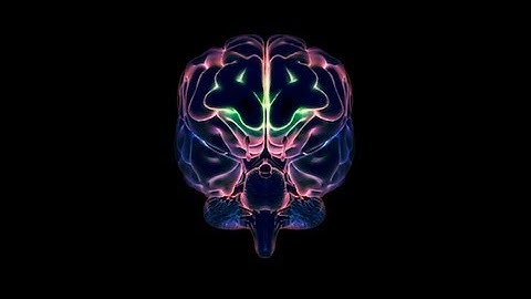 Brain Energy - Royalty Free Loop