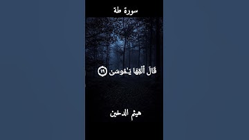 استمع بقلبك | من اجمل تلاوات القارئ هيثم الدخين|| سورة طة