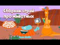 Сборник серий с животными - Бодо Бородо | ПРЕМЬЕРА 2021! | мультфильмы для детей 0+