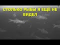 Рыбалка на Севере. Озеро забито рыбой! Такое я еще не видел! В поисках трофея на Севере.