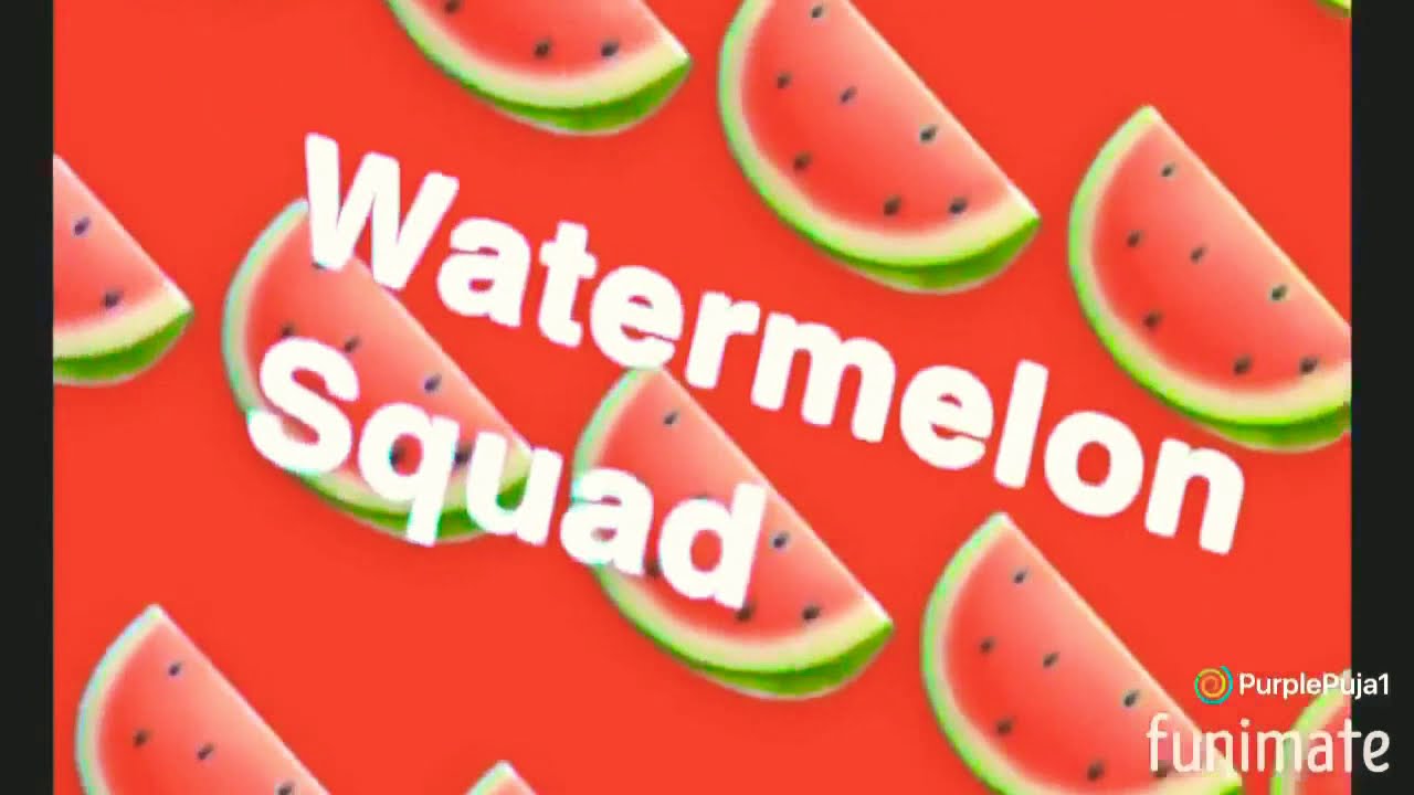 WATERMELON SQUAD INTRO YouTube