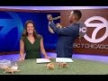 News anchor freaks out while holding snake