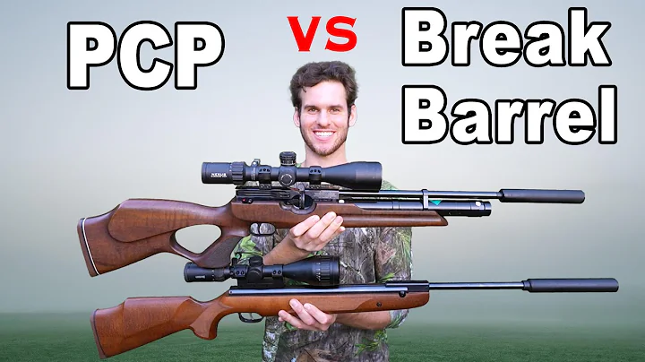 PCP vs Break Barrel Air Rifle Hunting!