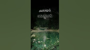 اكتب شيء تؤجر عليه 🤲🏻❤️|| #القرآن_الكريم #حالات_واتس #المصحف #راحة_نفسية #تلاوة_خاشعة #قرآن #اكسبلور