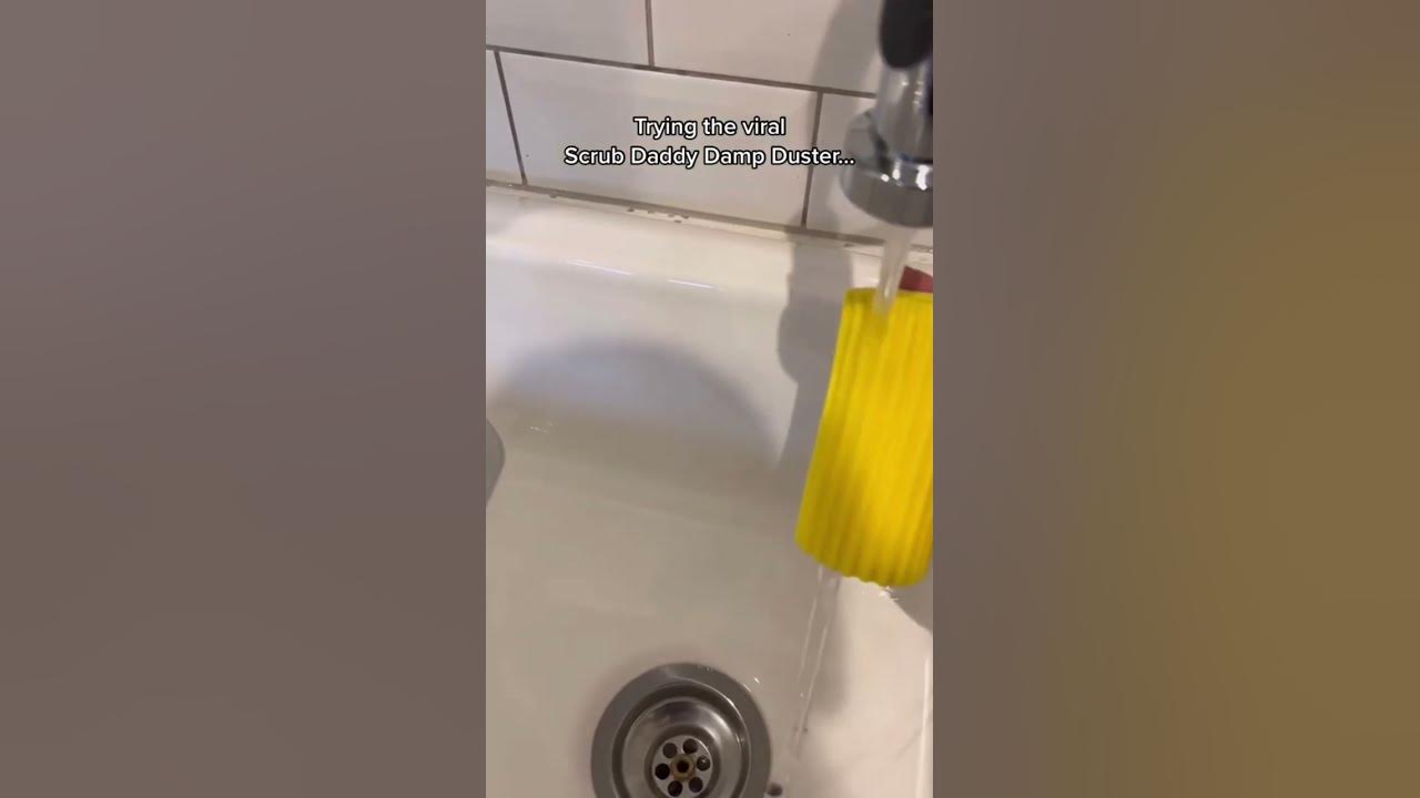 TRYING THE VIRAL SCRUB DADDY DAMP DUSTER 