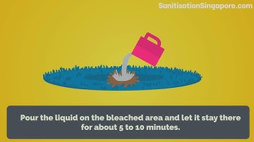 How to remove bleach stains from carpet [5 EASY STEPS]