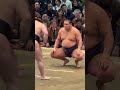 豊昇龍vs安青錦【大相撲令和8年3月場所】千秋楽 15日目 大阪場所 HOSHORYU AONISHIKI【SUMO OSAKA FINAL DAY】2026/3/22
