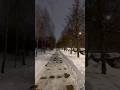 Walk in the dark, snow walk.. #europe #snowfall #snow #walking #snowynight #magicalwinter #winter