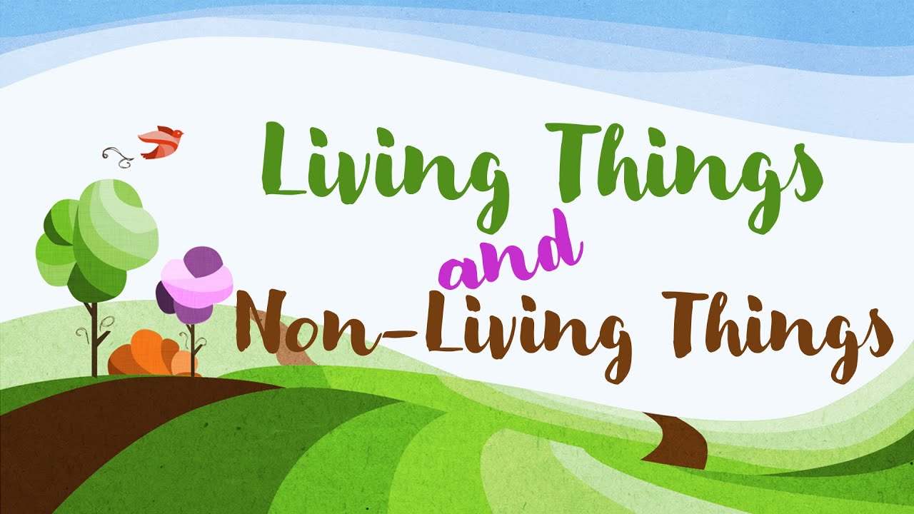 Lesson 2: Living Things and Non-Living Things - YouTube