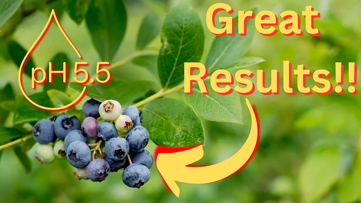 The TRUTH About Lowering Soil pH | Dispelled Myths and Wives Tales.