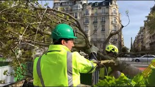 La folie des espaces verts : plus de verdure, mais à quel prix ?