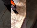 Effective Way to Clean and Restore Old Wood Surfaces Using a Power Tool for a Smooth Finish #shorts