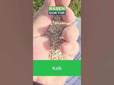 Rasen kalken im Frühling 2024 rasendoktor YouTube