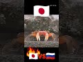日本とロシアのカニの違い Unterschiede zwischen japanischen und russischen Krabben