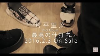 片平里菜 最高の仕打ち Recording Document映像 vol.2